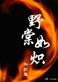 野棠如炽txt百度网盘