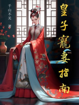 清穿 红楼皇子宠妻指南