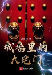 城墙里的大宅门小说