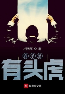 我手里有头虎 付勇军