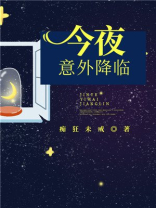 今夜意外降临百度网盘