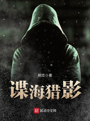 谍海猎影下载