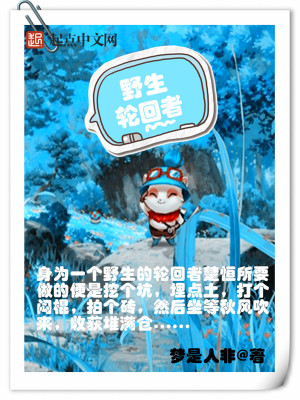 轮回者什么意思