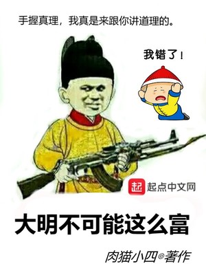 大明不可能这么富 小说