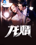 龙婿