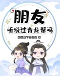朋友,听说过青龙帮吗?