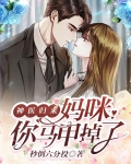 神医归来:妈咪,你马甲掉了