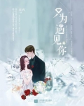 只为遇见你