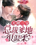 天降三宝:总裁爹地很温柔