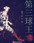 开局顶级预判,我是第三球王