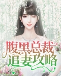 腹黑总裁追妻攻略