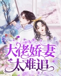 大佬娇妻太难追