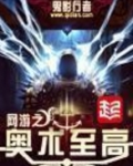 网游之奥术至高