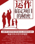 运作:搞定项目的秘密