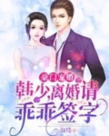 豪门宠婚：韩少，离婚请签字