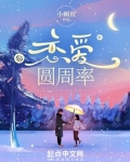 恋爱圆周率
