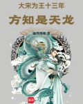 大宋为王十三年,方知是天龙
