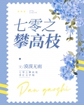 七零之攀高枝