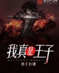 我真是王子