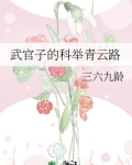 武官子的科举青云路