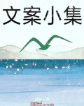 文案小集