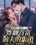 离婚后:我带三宝炸翻首富前夫的集团
