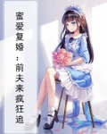 蜜爱复婚：前夫来疯狂追