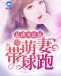 总裁请息怒：萌妻带球跑