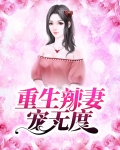 重生辣妻宠无度