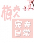 梅夫人宠夫日常