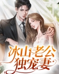 冰山老公独宠妻