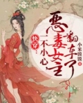 快穿:不一小心,恶毒女主翻车了