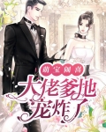 萌宝闹喜：大佬爹地宠炸了