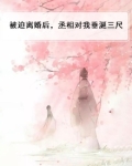 被迫离婚txt废文