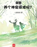 御兽:养个神宠很难吗?