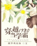 穿越1980当学霸