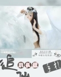 小狐狸追仙手札