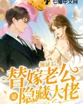 领证后，替嫁老公是隐藏大佬