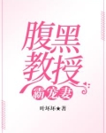 腹黑教授霸宠妻